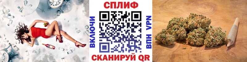 Бошки марихуана марихуана Опочка